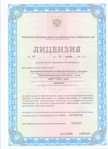 Лицензия